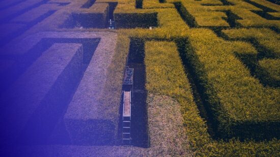 Hedge maze from above, tinted in Pathify purple — article: The Cost of the Digital Maze